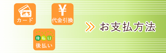 お支払方法
